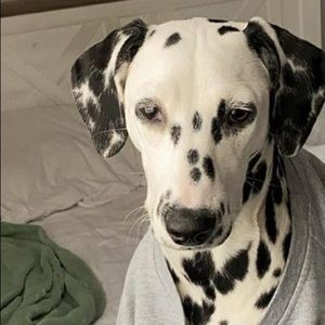 Meet your Posher, Grace